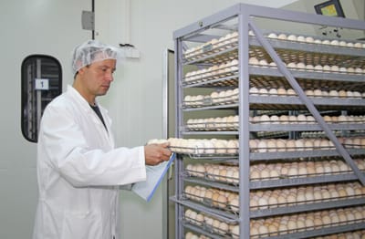 Innovative Smart Poultry Incubator Controller with Advanced Features