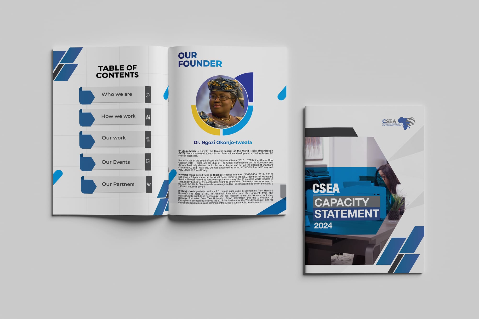 CSEA Capacity statement