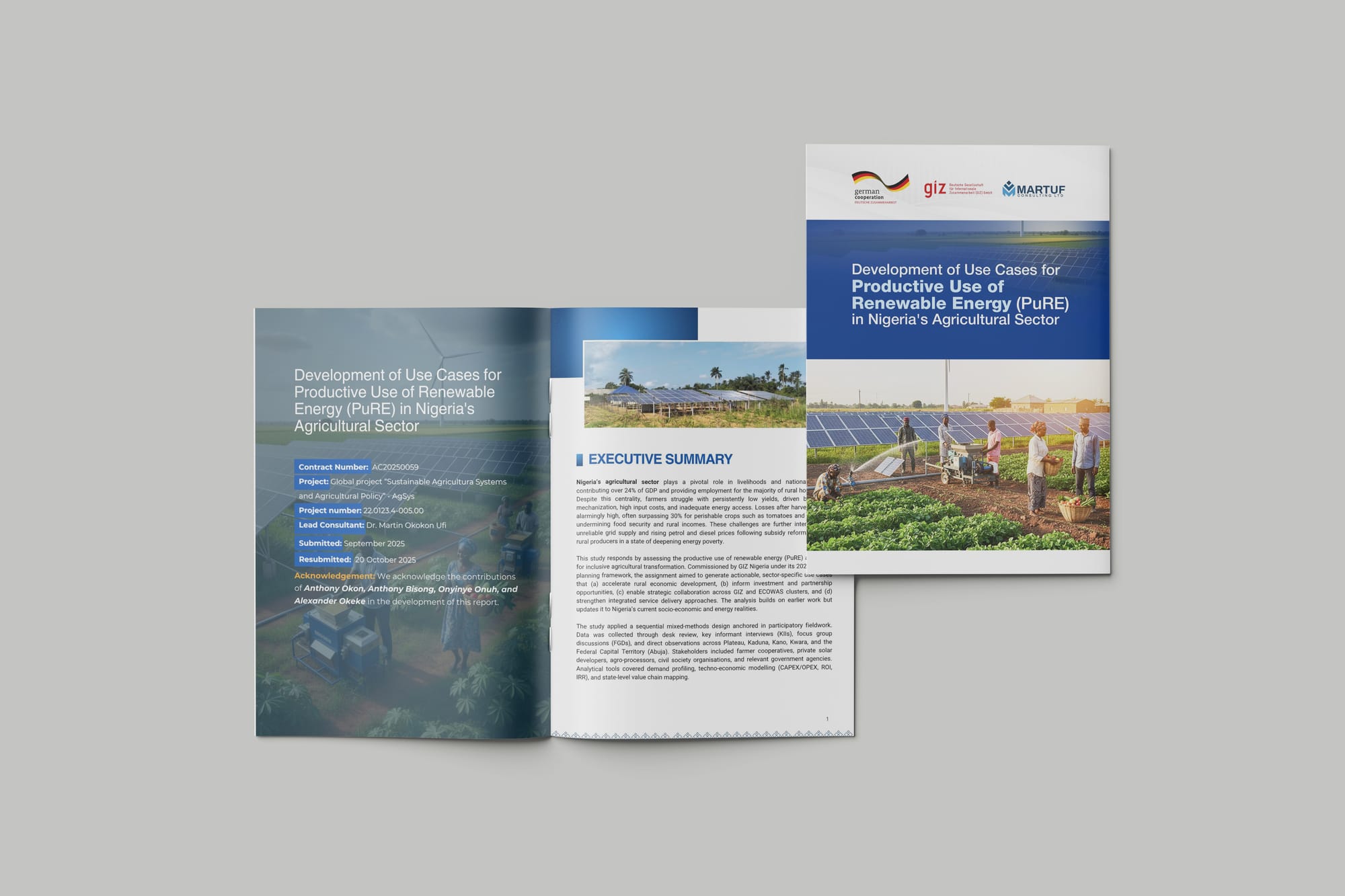 PuRE in Nigeria's Agricultural sector