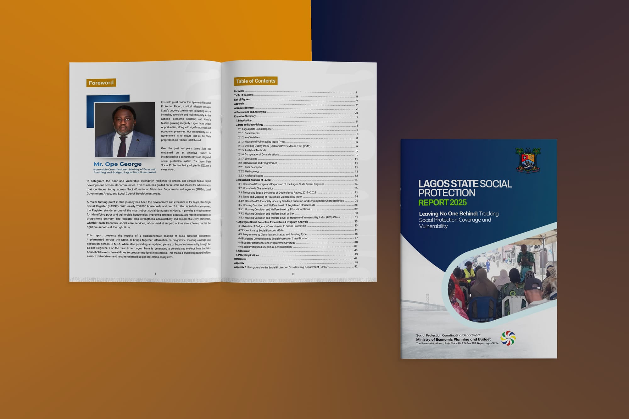 Lagos state social protection report