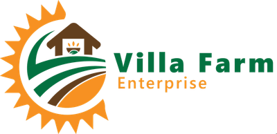 VFE