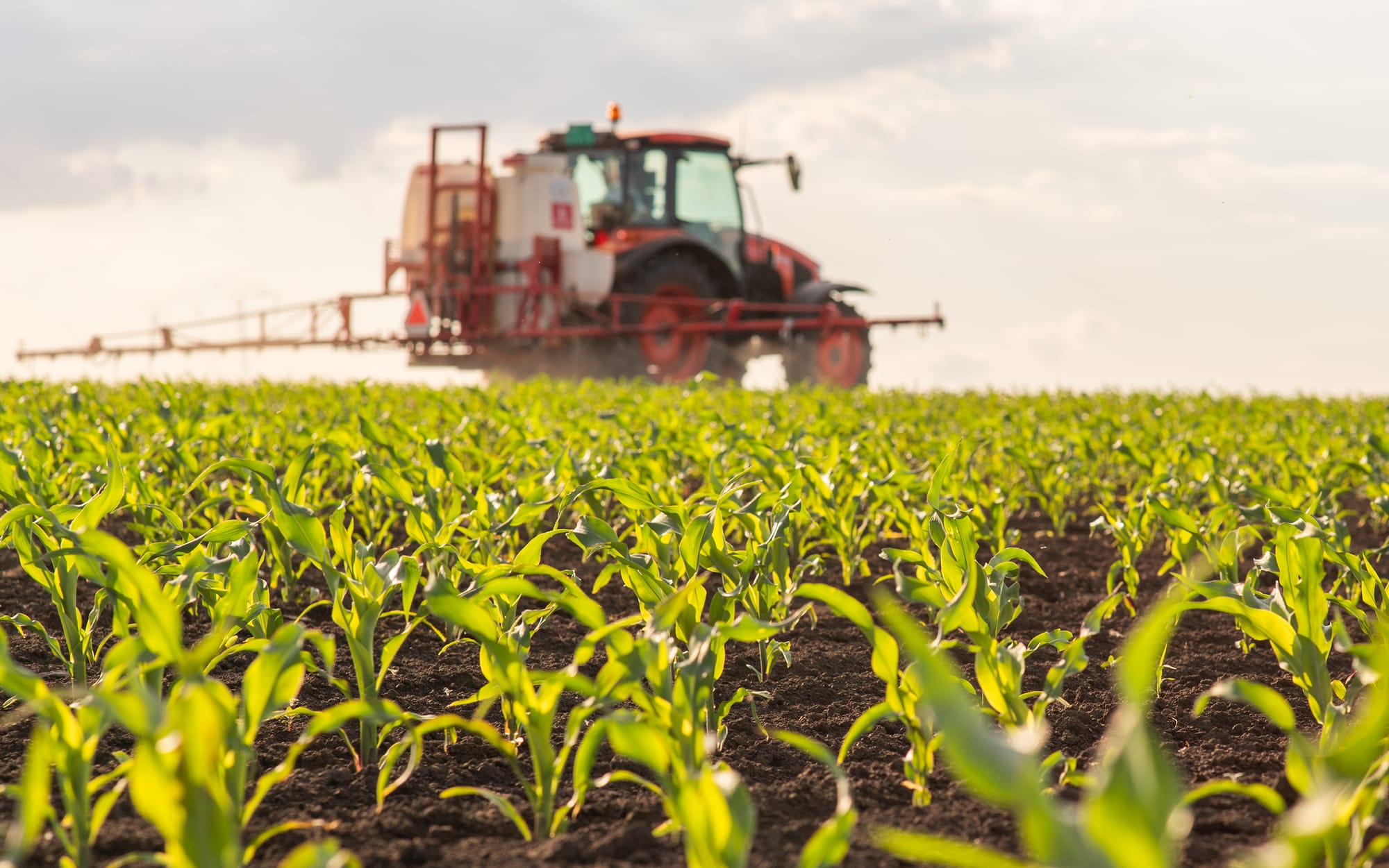 Cascavel no centro do agro: mecanização cresce, mas dependência de emendas acende alerta para o futuro