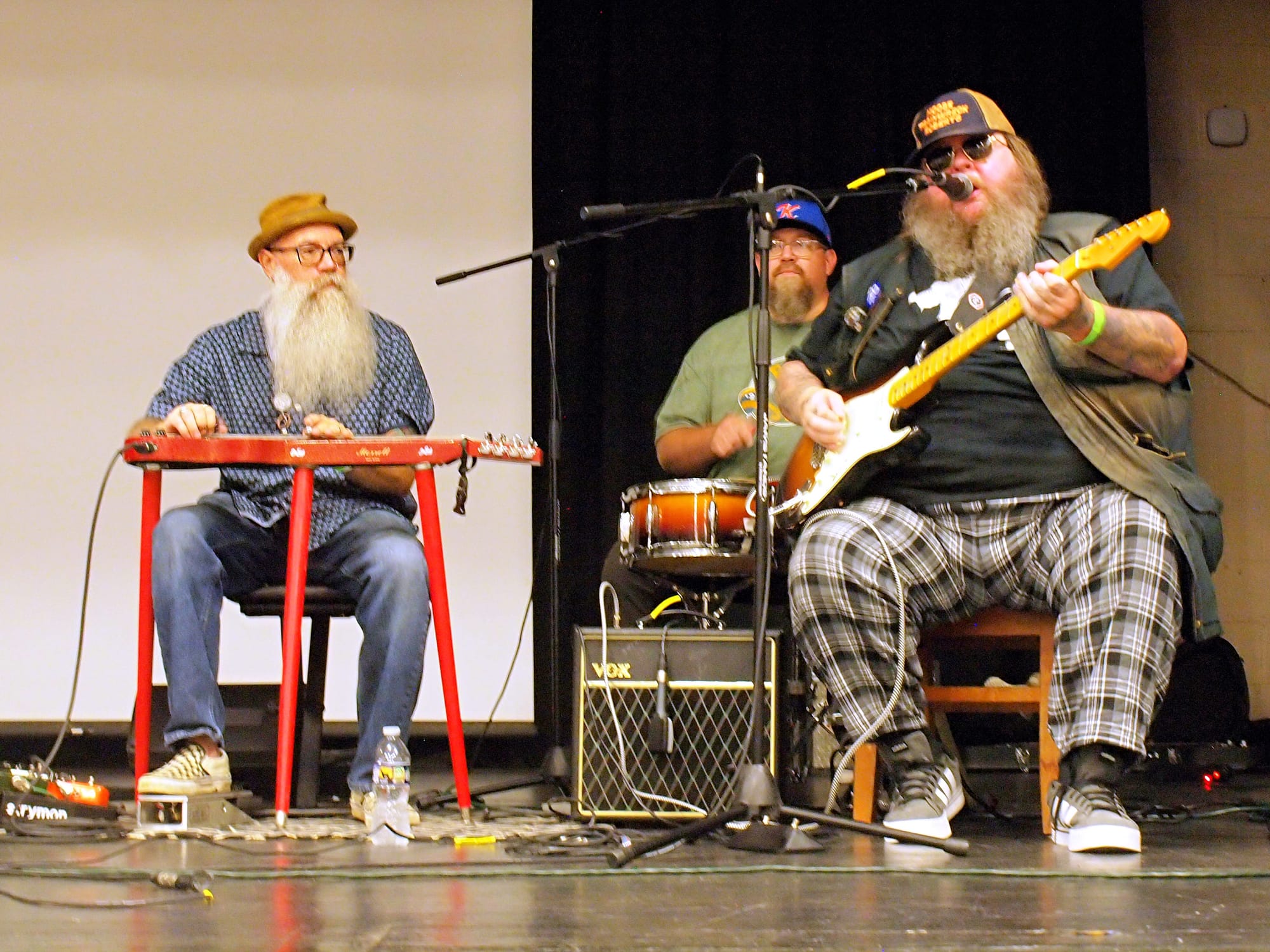 2025 Kingsport Fun Fest Record Expo, Kingsport, TN [Photo: J Lowry]