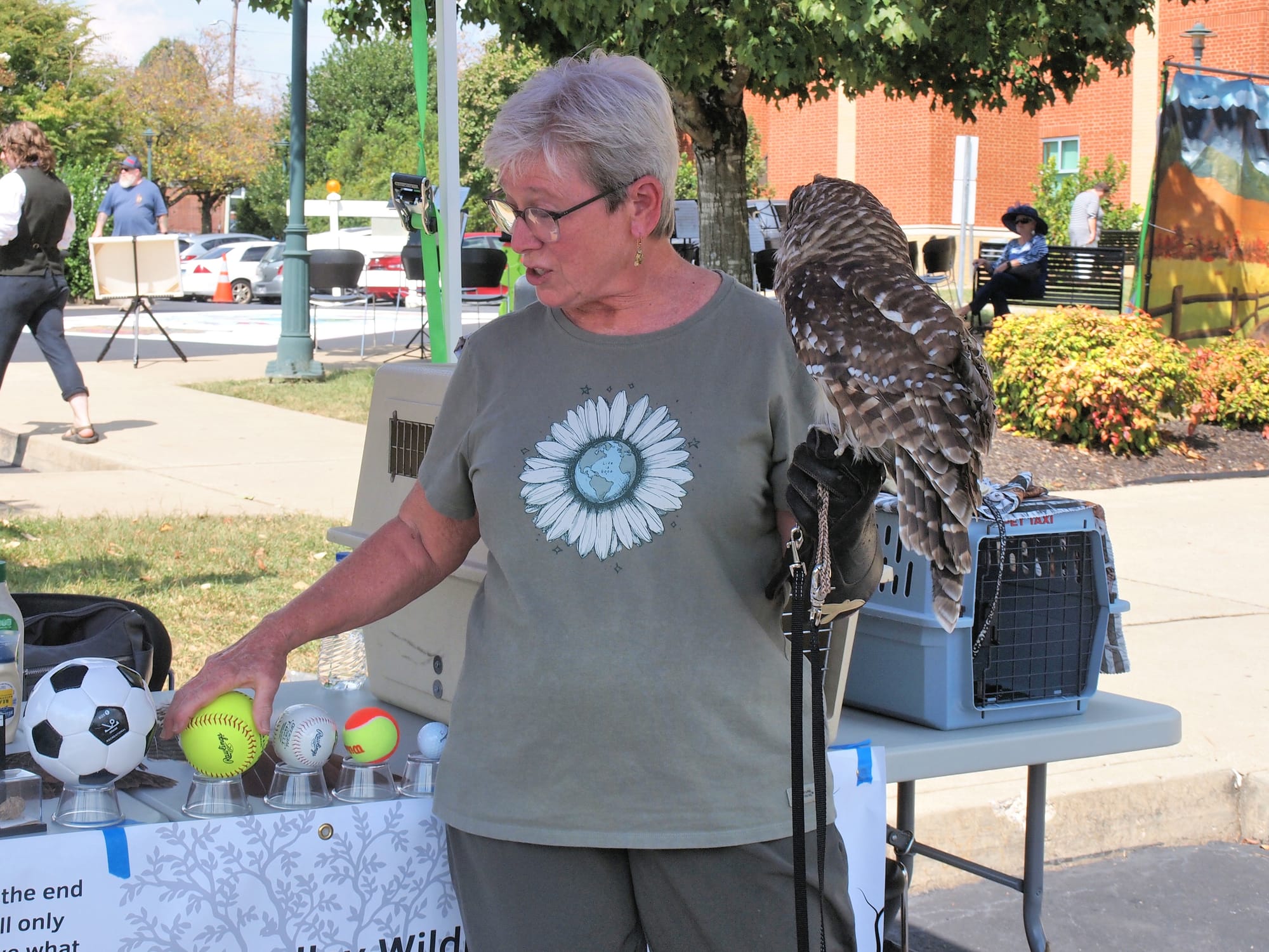 Shire Fest, Johnson City Public Library (TN), 9/21/25 [Photo: S Cobaugh]
