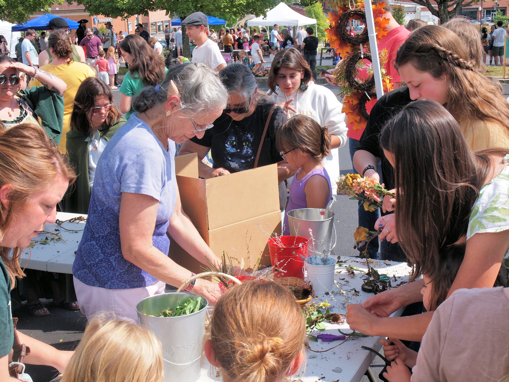 Shire Fest, Johnson City Public Library (TN), 9/21/25 [Photo: S Cobaugh]