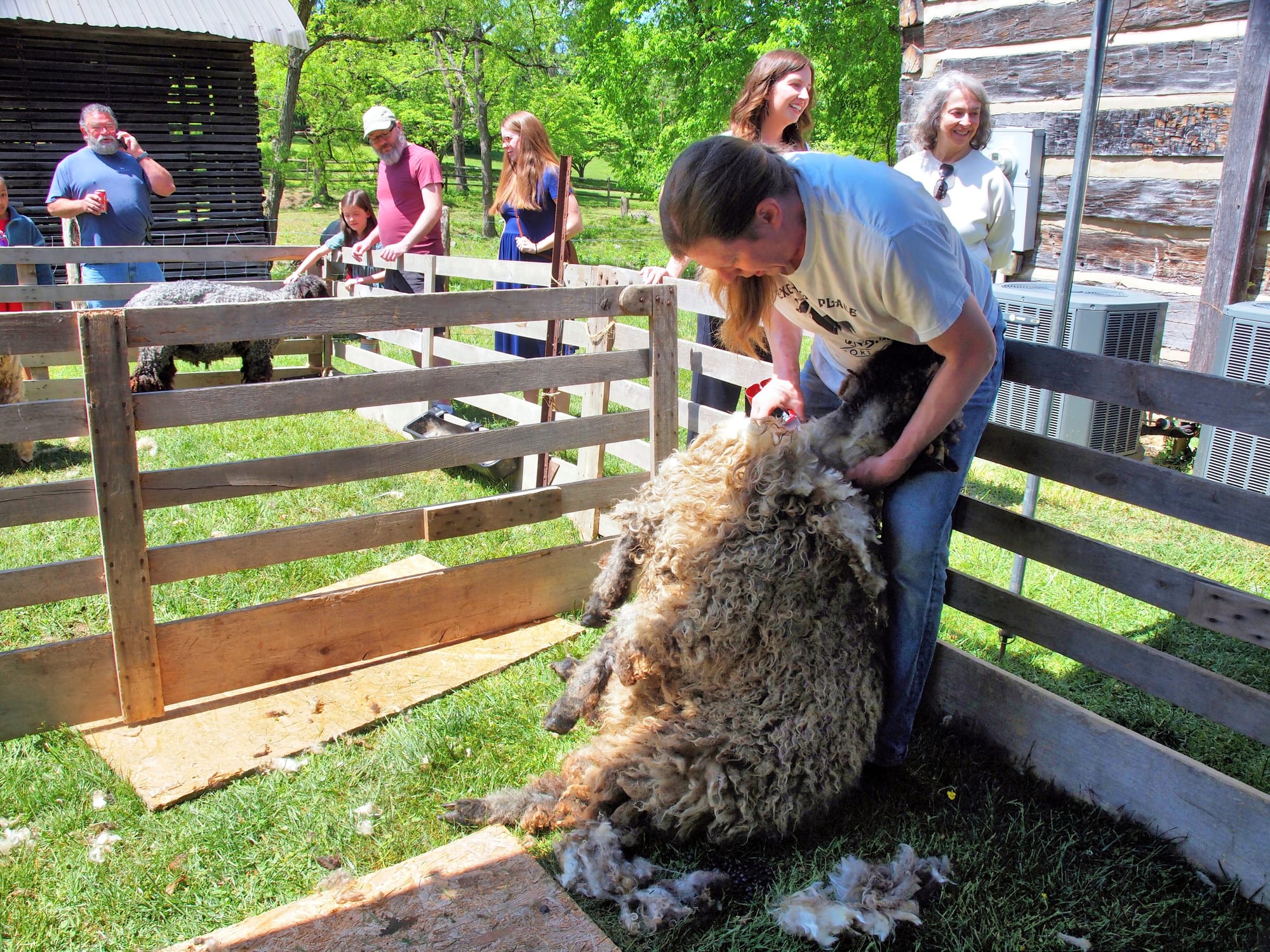 Spring Garden Fair, Exchange Place 1850s Farmstead, Kingsport, TN, April 26, 2026 [Photo: S Cobaugh]