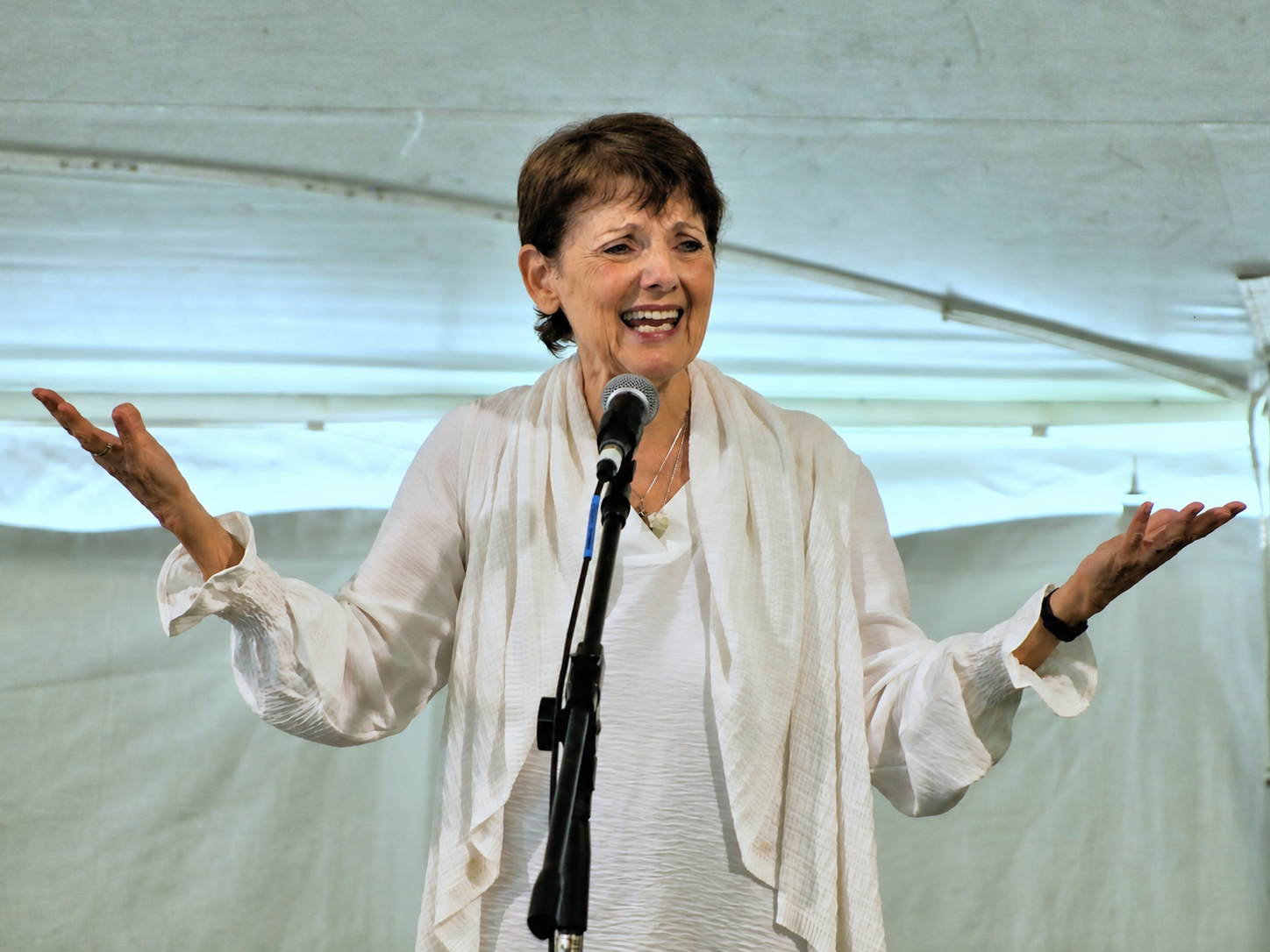 National Storytelling Festival, Jonesborough, TN, October 4, 2025 [Photo: S Cobaugh]