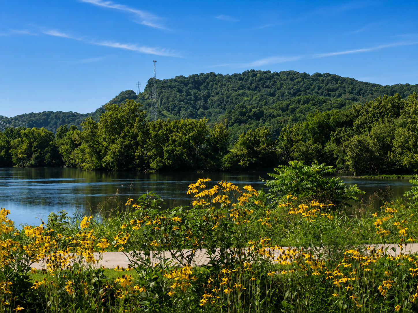 Party at the Park event: The city's newest park, the BlueCross Healthy Place at Riverwalk Park, is located in the vicinity of Netherland Inn and adjacent to Holston River, Kingsport, TN, July 31, 2026 [Photo: J Lowry]