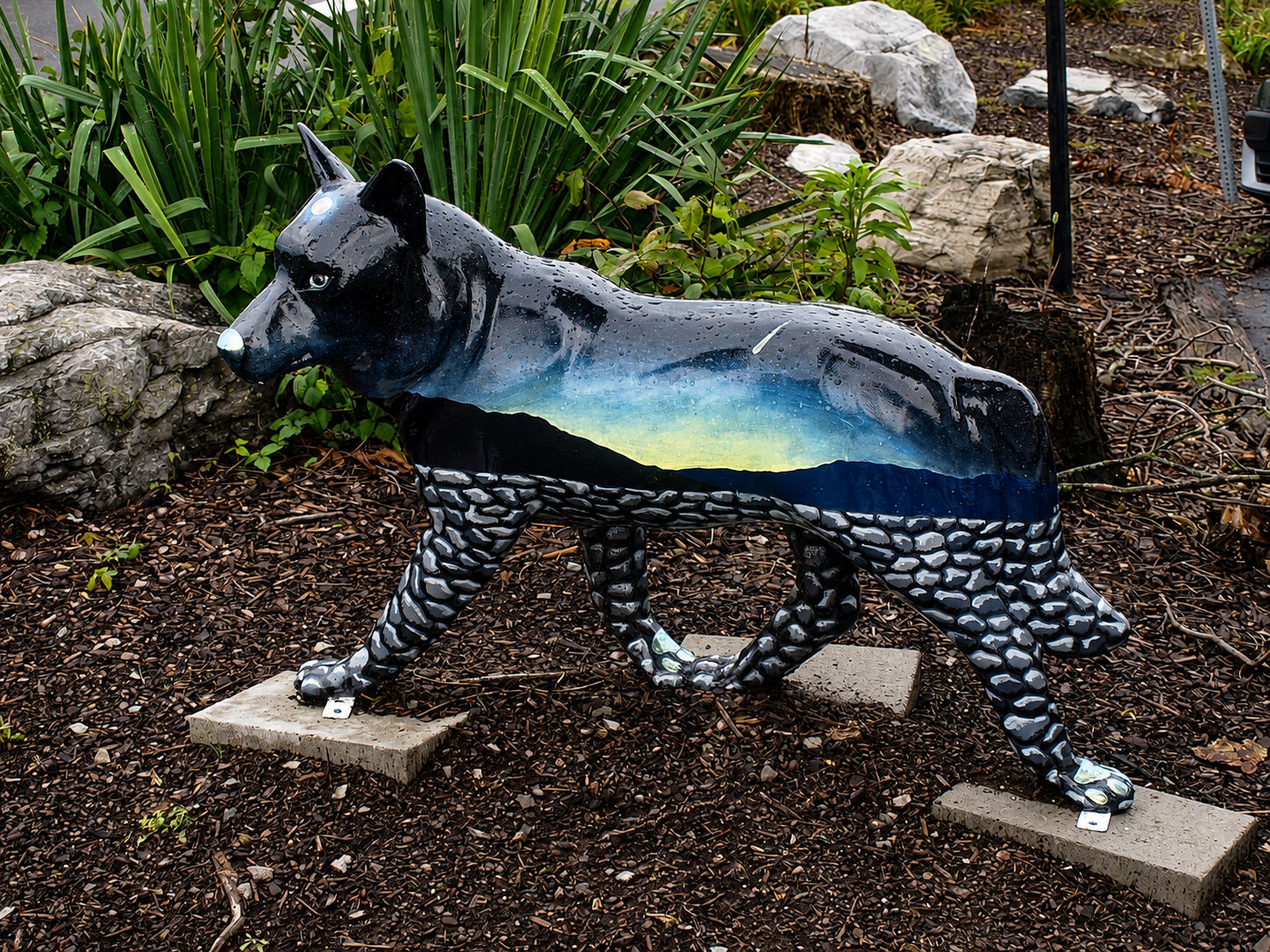 A decorated wolf sculpture is displayed in Abingdon, Va., recalling the community’s early association with the name Wolf Hills. According to local legend, frontiersman Daniel Boone gave the area the name after wolves attacked his hunting dogs while he camped nearby in the 18th century. [Photo: S Cobaugh]