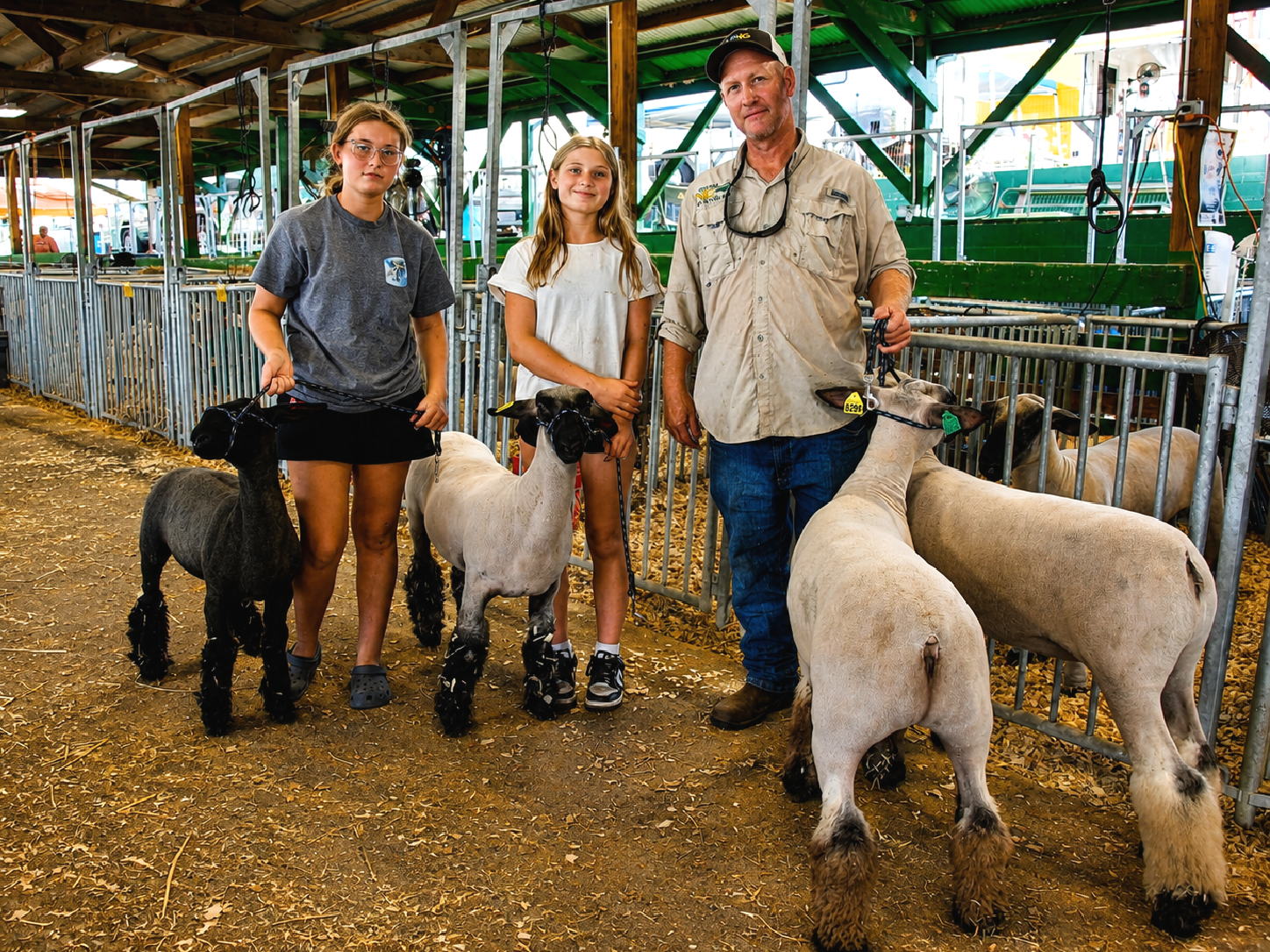 Sheep breeding remains part of Washington County's diverse agricultural economy, with 42 farms reporting nearly 1,000 sheep and lambs. Local livestock programs and the Appalachian Fair in Gray, Tenn., continue the region's tradition of breeding, raising and showing sheep, particularly through youth agriculture and 4-H programs. [Photo: S Cobaugh, Aug. 27, 2026]