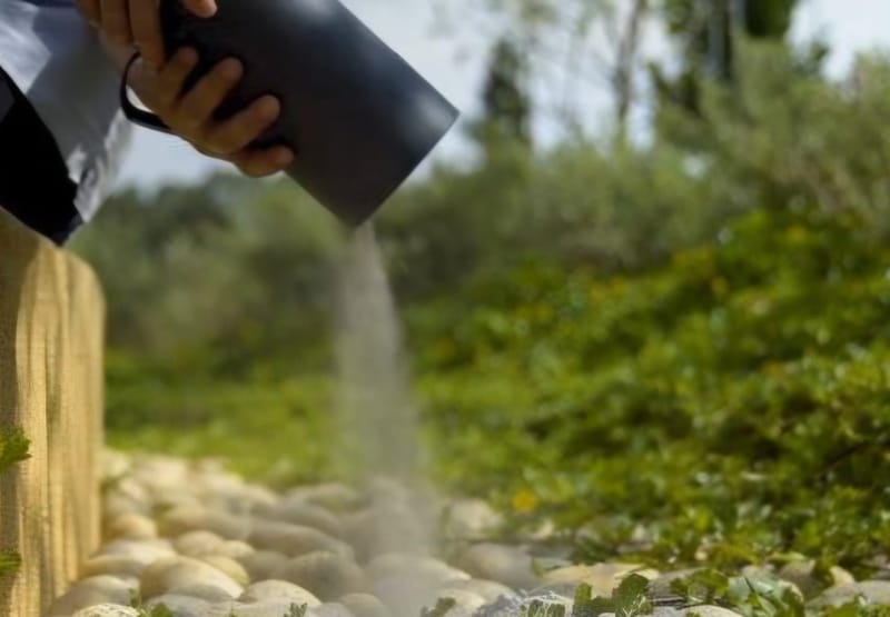 Burial, Cremation &amp; Ash Arrangement