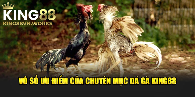 King88vn.co - Giải Mã Sức Hút Sân Chơi Cá Cược Số 1