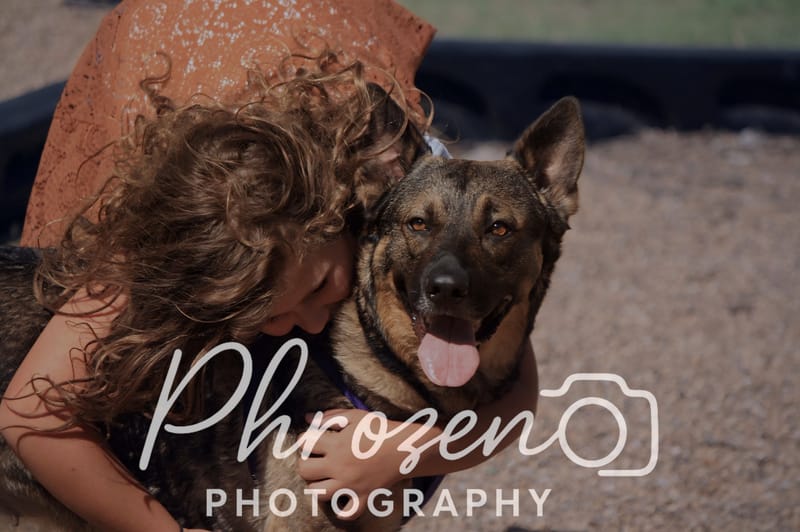 Pet Photography