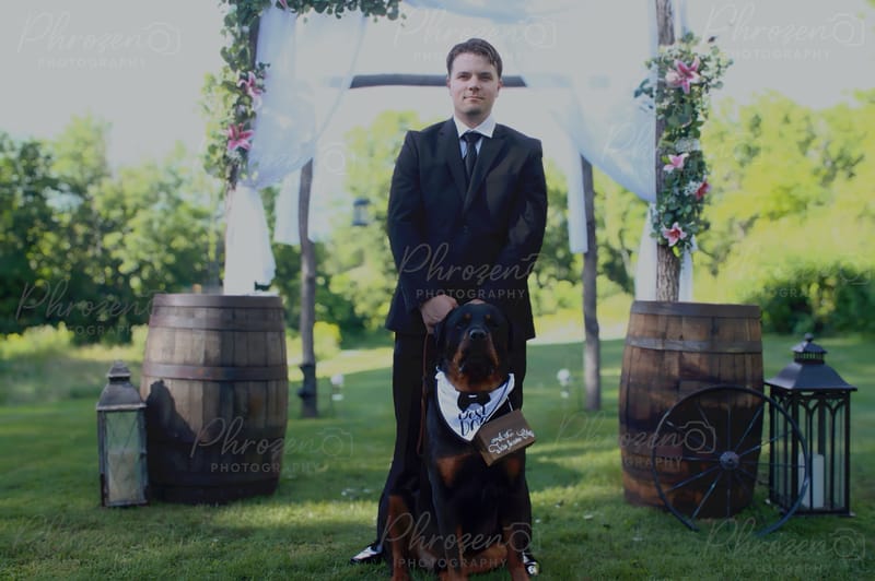 Real Love, Real Light