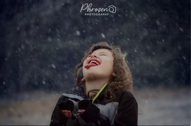 The Color Story Collection