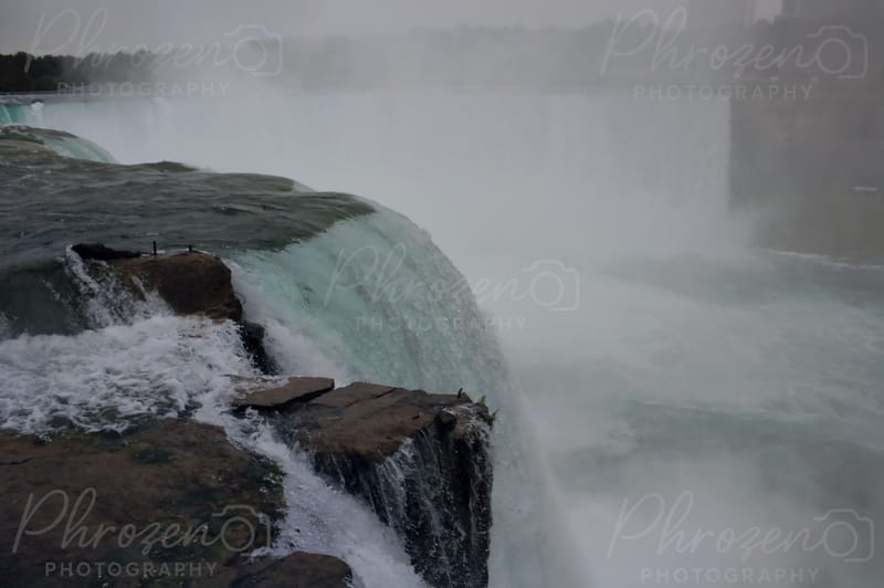 The Wild Horizon Collection