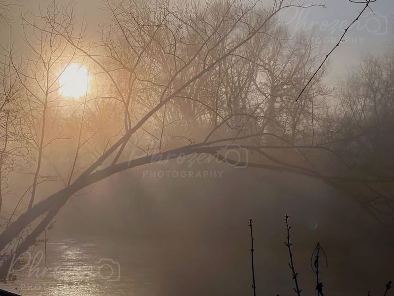 The Wild Horizon Collection