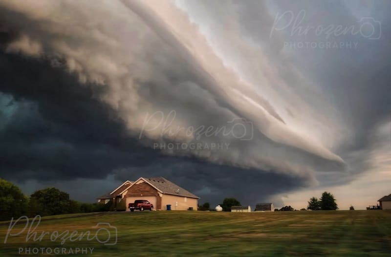 The Wild Horizon Collection