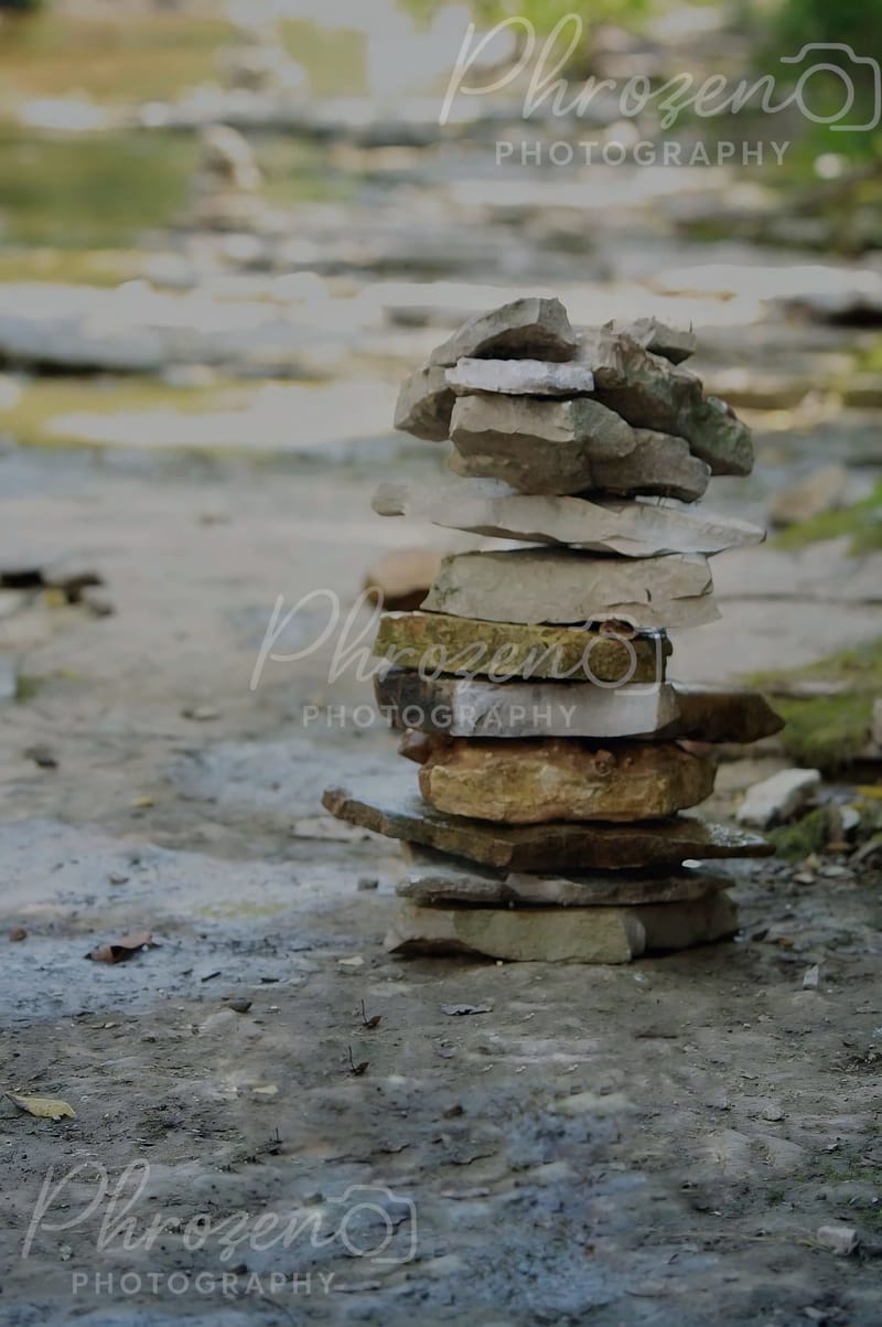 Shadows of What Remains