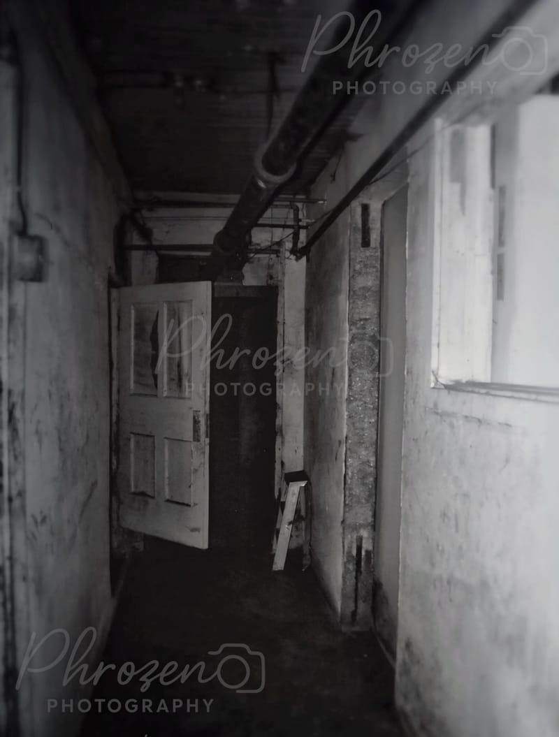 Shadows of What Remains