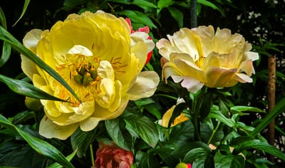 Über uns Ich bin Fotografin.