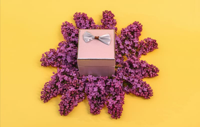 Elegant Flower Boxes