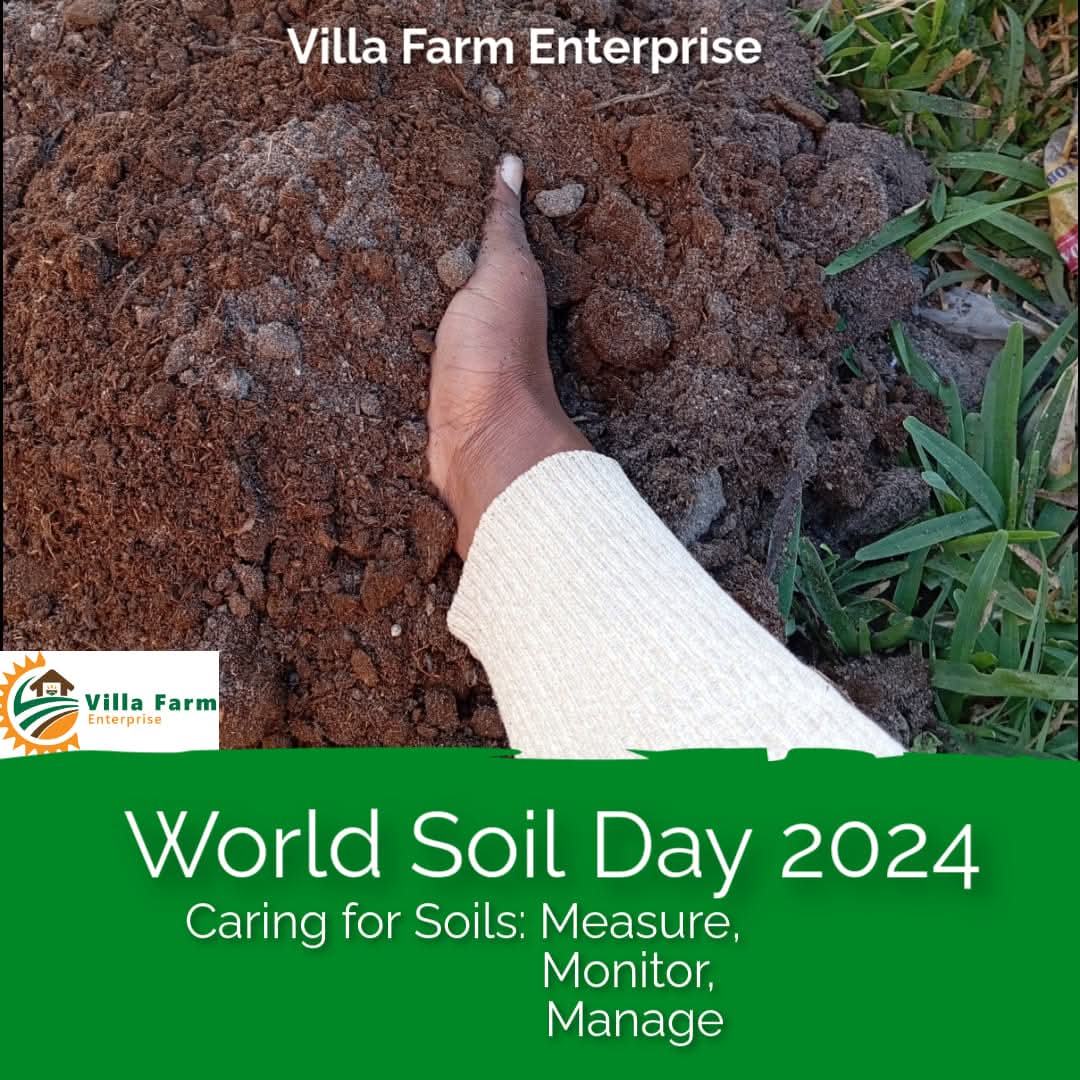 WORLD SOIL DAY 2024, MEASURE, MONITOR & MANAGE