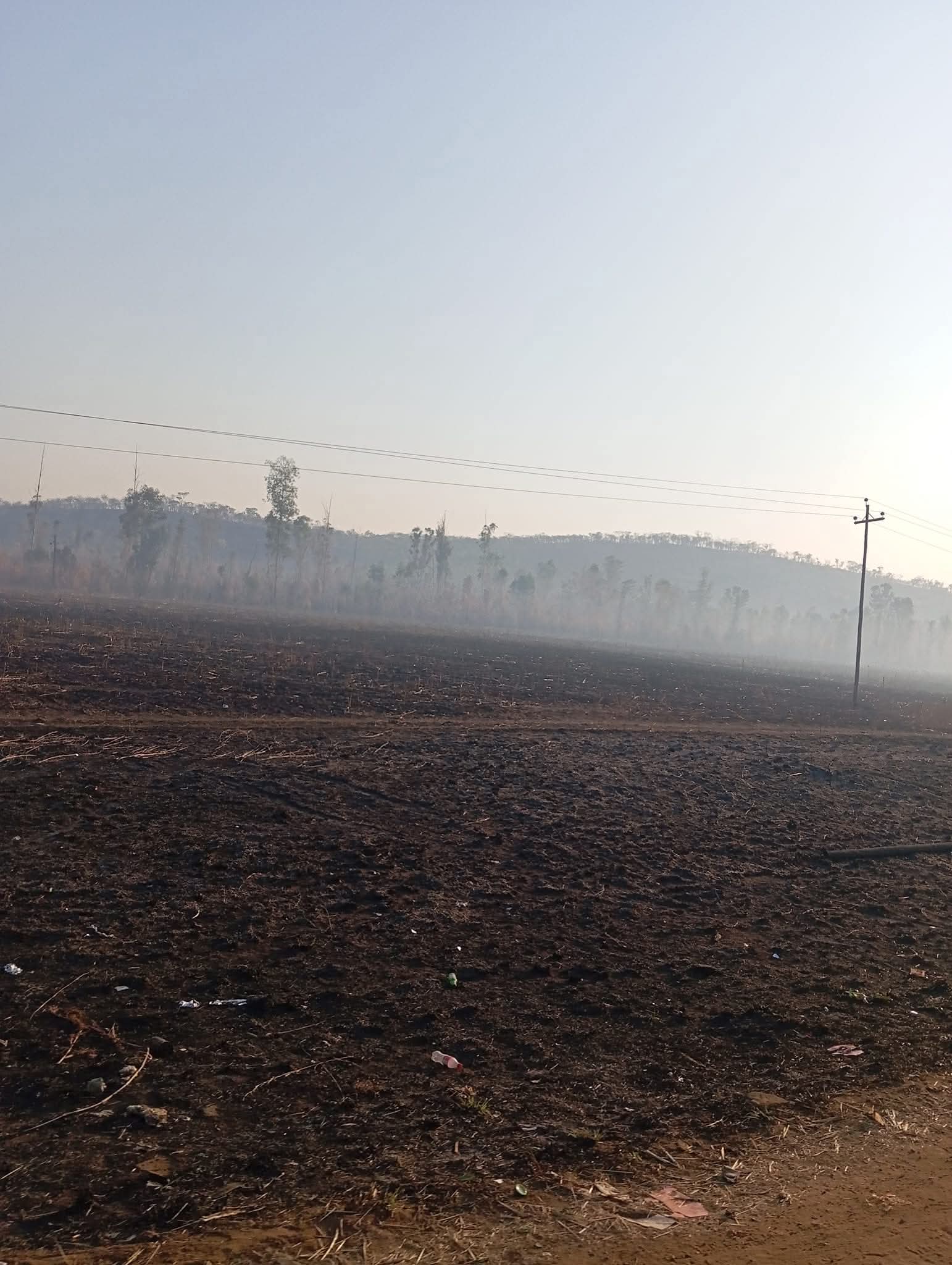 PREVENT VELD FIRES, PROTECT THE ENVIRONMENT & LIVELIHOODS