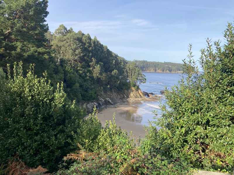 Behind the Book: An Interview with Our Author