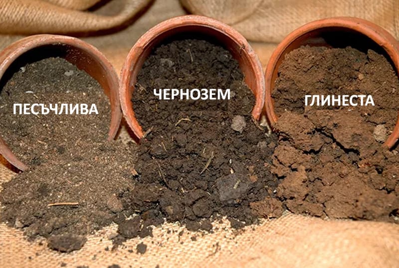 Трите основни вида почви