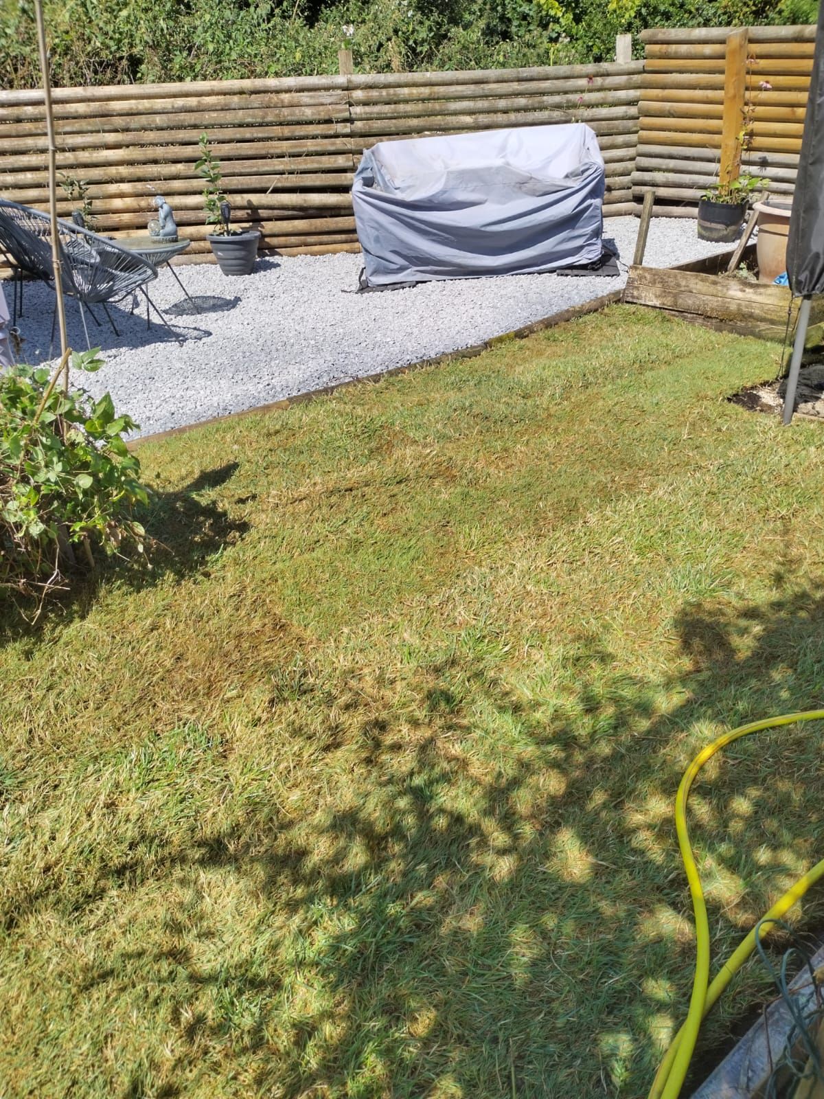 Dons garden