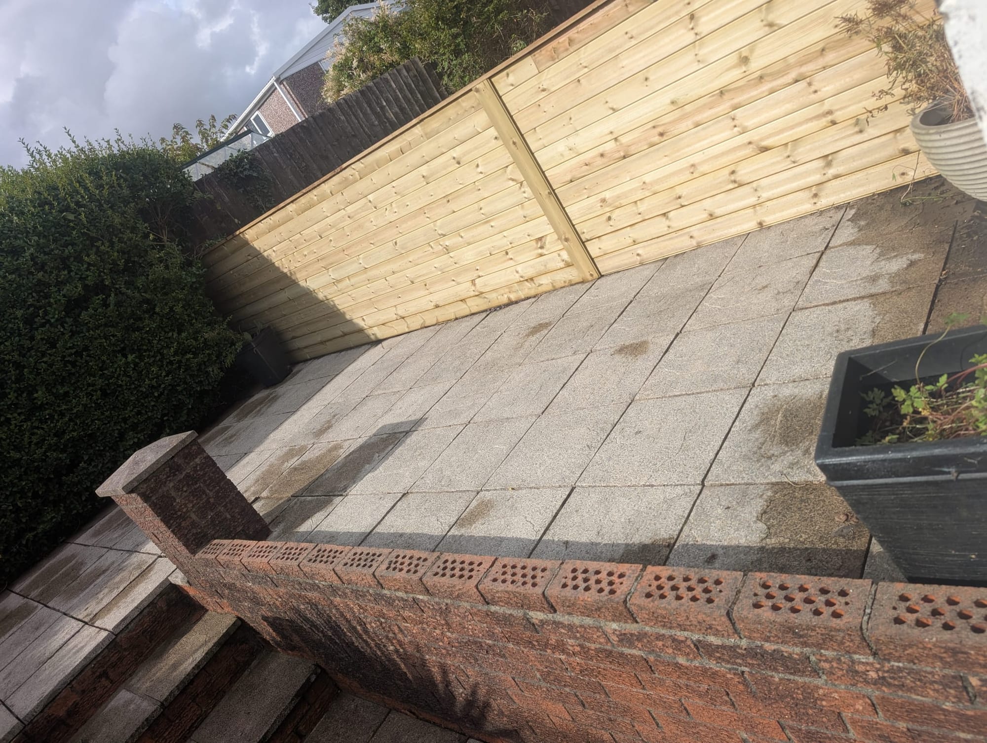 Toms garden