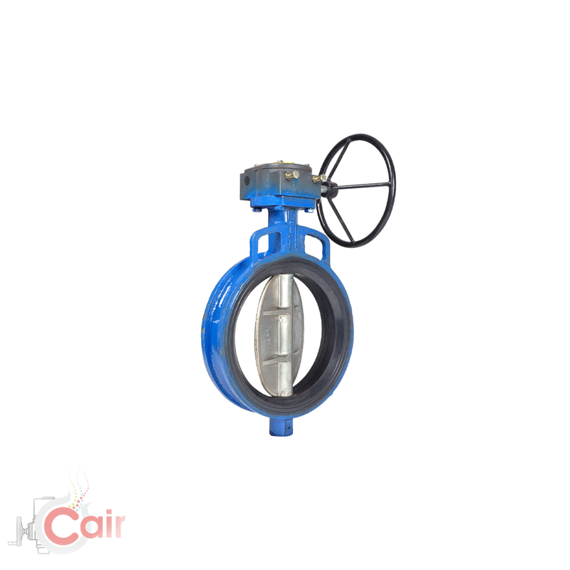 Wafer 🔧 Premium Wafer Type Butterfly Valve Manufacturer in Ahmedabad, GujaratType Valves