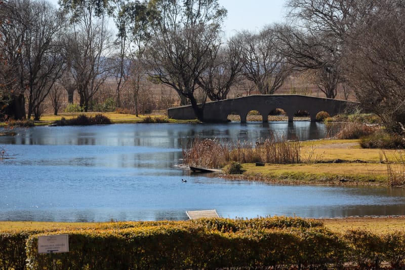 Nicoleen En Aubrie Wedding