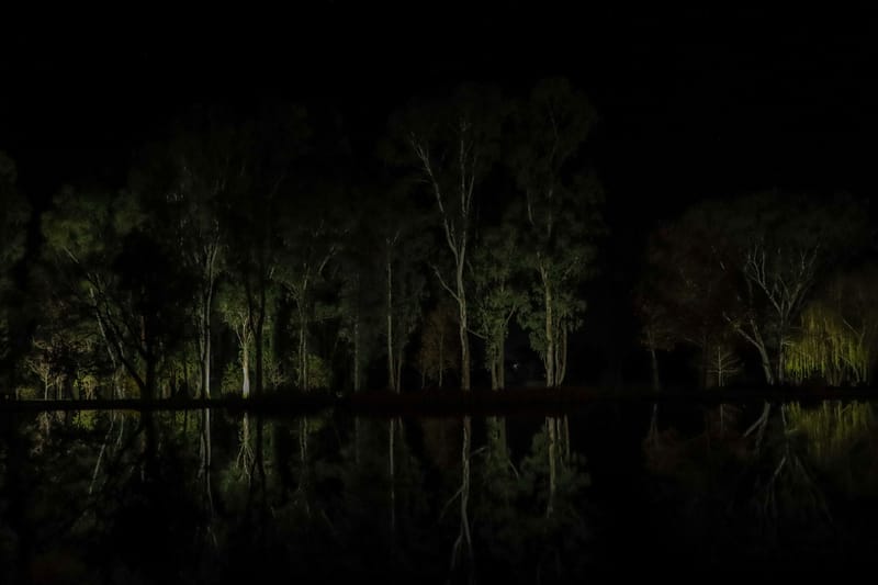 Nicoleen En Aubrie Wedding