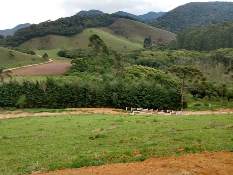 INSPIRADO PELA SERENIDADE E ELEGÂNCIA DAS ARAUCÁRIAS...