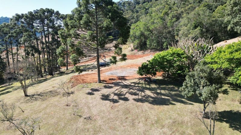 INSPIRADO PELA SERENIDADE E ELEGÂNCIA DAS ARAUCÁRIAS...