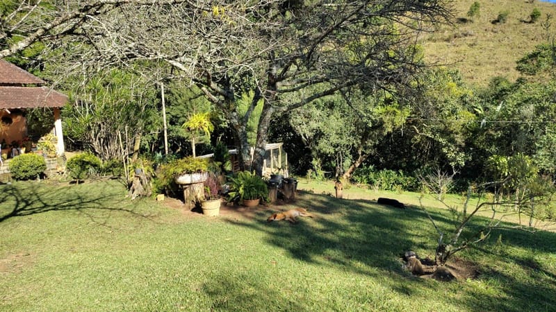 INSPIRADO PELA SERENIDADE E ELEGÂNCIA DAS ARAUCÁRIAS...