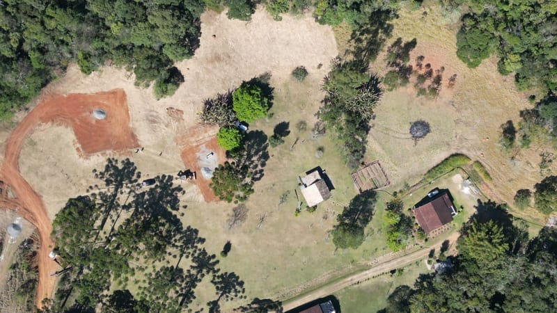 INSPIRADO PELA SERENIDADE E ELEGÂNCIA DAS ARAUCÁRIAS...