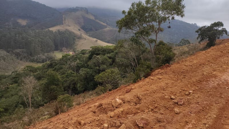 INSPIRADO PELA SERENIDADE E ELEGÂNCIA DAS ARAUCÁRIAS...