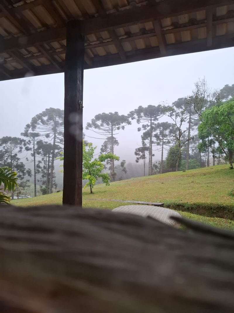 INSPIRADO PELA SERENIDADE E ELEGÂNCIA DAS ARAUCÁRIAS...