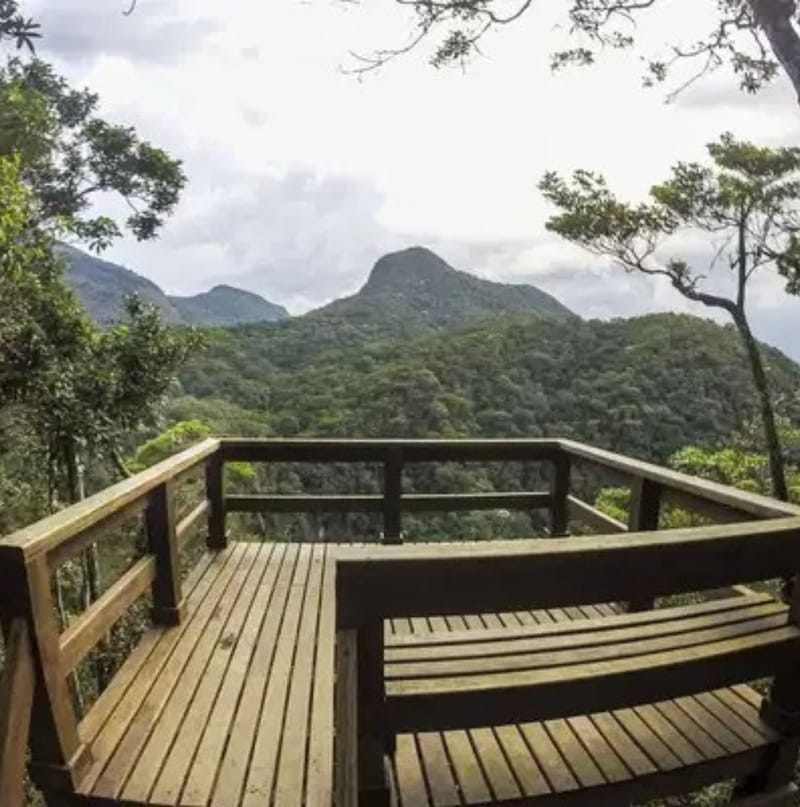 DIFERENCIAIS INCOMPARÁVEIS: