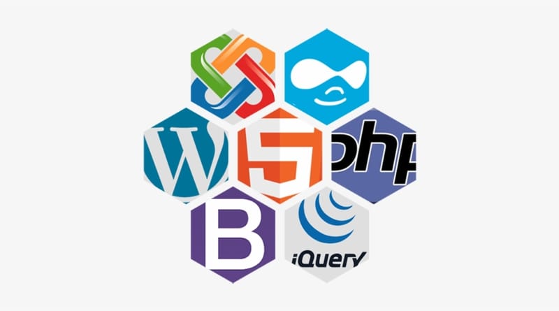Website Design and Development