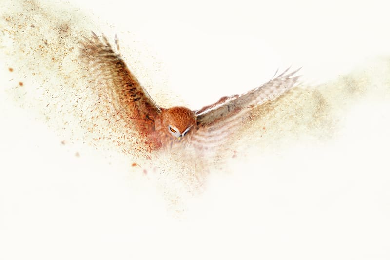 Thérapie individuelle