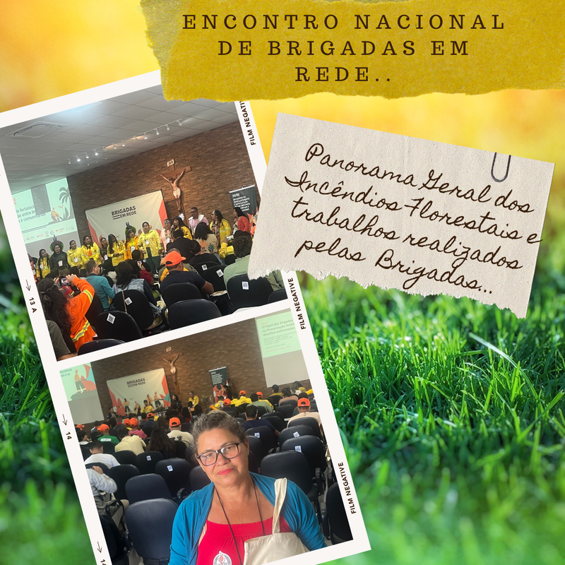 Encontro Nacional dos Brigadistas