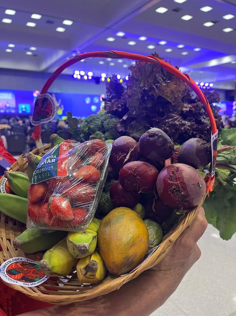 Produção de Alimentos Naturais