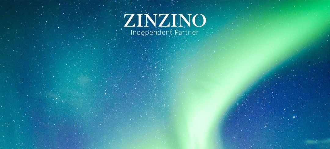 Discover Zinizno: Test-Based Wellness