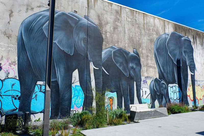 Speaker: Dr Reuben Woods