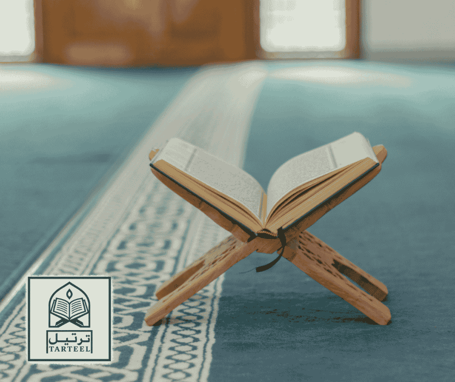 عدد أحزاب القرآن الكريم - أكاديمية ترتيل لتعليم القرآن عن بُعد