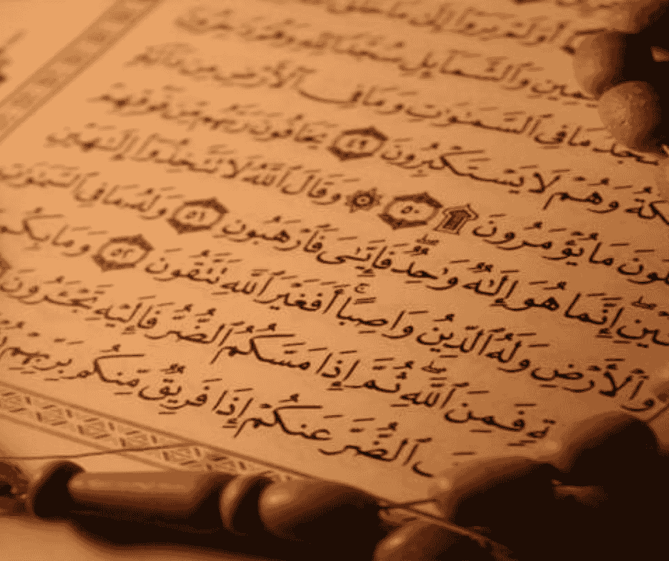 فضل القرآن الكريم في حياة المسلم - أكاديمية ترتيل